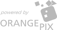 OrangePix ha realizzato il sito web Autonuove